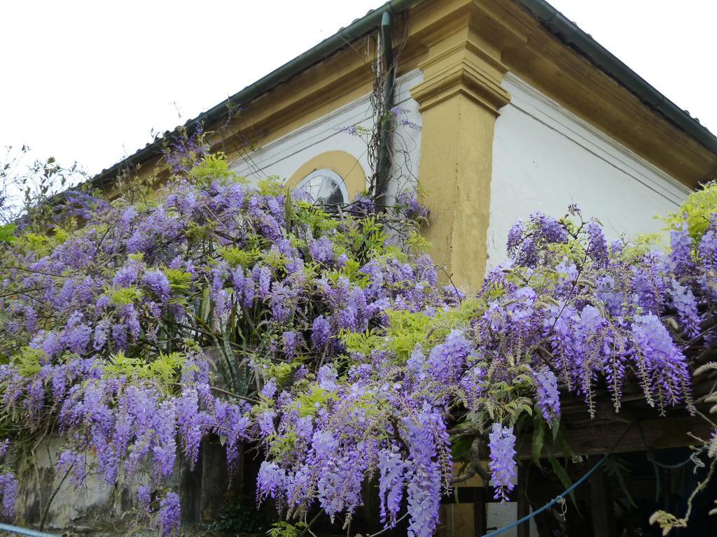 Pouso das Glicínias - B&B Ouro Preto  Exterior foto